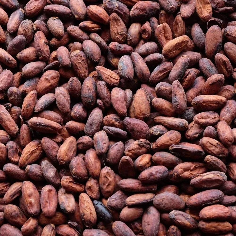 Premium Coffee Beans Uganda